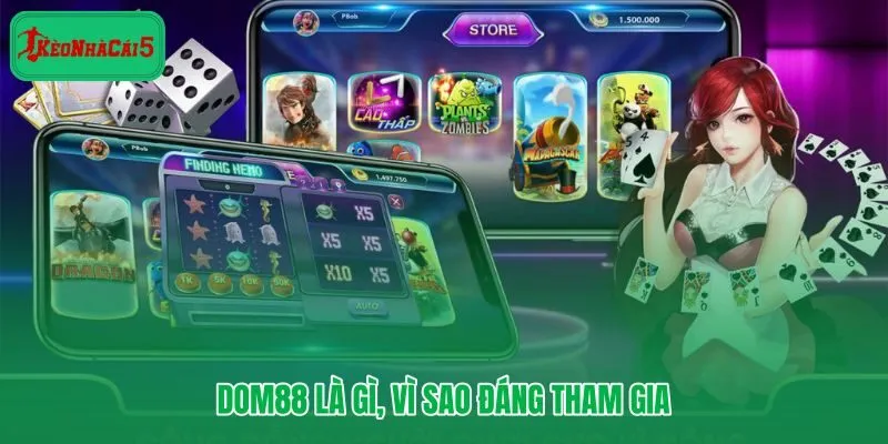 Dom88 và lý do người dùng Việt ưu tiên nền tảng này