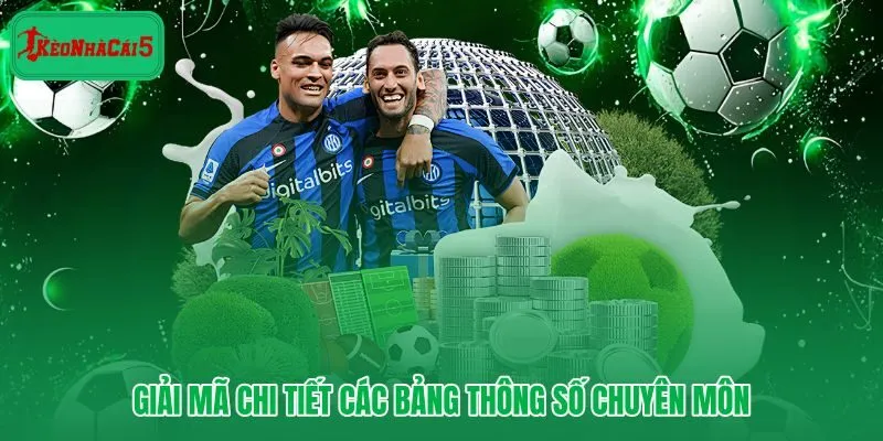 Bảng hướng dẫn chi tiết cách đọc hiểu các chỉ số đánh giá lực lượng