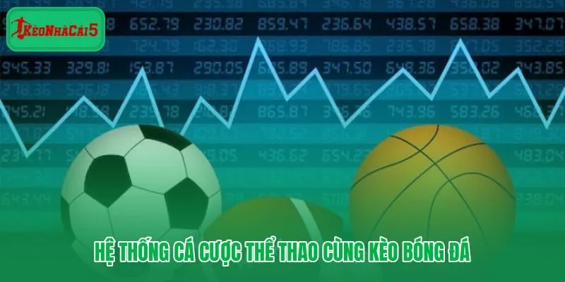Mibet và hệ thống kèo bóng đá đa thị trường cho người chơi