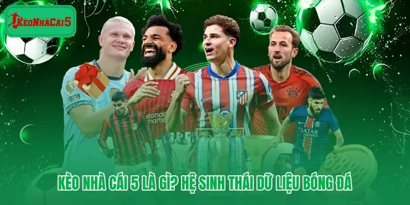 Giao diện tổng quan của nền tảng Kèo Nhà Cái 5