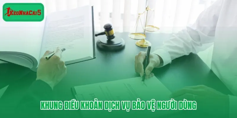 Điều khoản dịch vụ minh bạch và quyền lợi người dùng được xác lập rõ