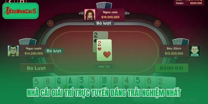 Vin88 nhà cái giải trí số gọn gàng và dễ tiếp cận