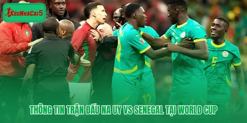 Na Uy vs Senegal tại World Cup 2026 và những con số cần biết