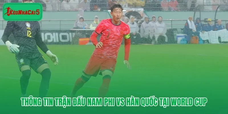 Nam Phi vs Hàn Quốc dữ liệu nền và tỷ lệ vòng bảng World Cup 2026
