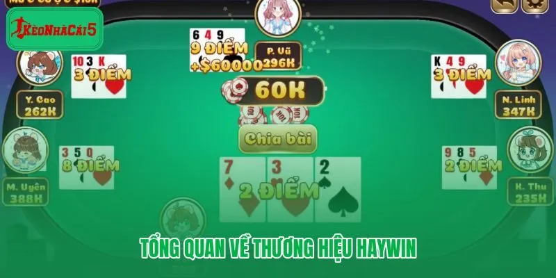 Haywin và không gian giải trí trực tuyến dành cho mọi người chơi